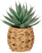 Sukkulenten Pflanzen Künstliche Aloe Vera Pflanze, Faux Sukkulenten im Geflochtenen Korb, Getopfte Fake Aloe Pflanze für Home Office Badezimmer Tisch Schlafzimmer Regal Dekor 21cm