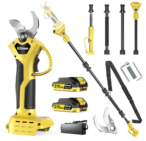 Sécateur Électrique Avec Perche, Moteur Brushless, Portée Totale 2,8 m, 2-en-1 Secateur Electrique Sans Fil avec Lame SK5 et 2x2.0 Ah Batteries, pour Jardinage, Ferme, Arbres Fruitiers