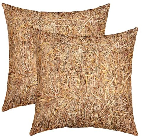 Paille Lot De 2 Housse de Coussin Ouest Ferme Respirable Taie d'oreiller 45x45cm Cowboy Housse Coussin Pile de Foin Taie Oreiller pour Salon Cuisine Chambre Fille