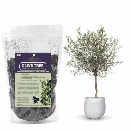 Premium Olive Tree Potting Mix - Perfect Balance of Air, Moisture, and Nutrients - 1 Liter Bag