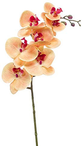 artplants.de Ramo di Orchidee phalaenopsis finte NEITH, Fucsia-Arancione, 85cm - Orchidee Artificiali - Fiori Finti