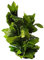 Large Leaf Silk & Plastic Aquarium Foliage Plant, Fish Safe 30cm (11 Inch) Tall | Artificial Aquarium Decor Fish Tank Decoration Green Water Plant Made of Silk Fabric Plastic