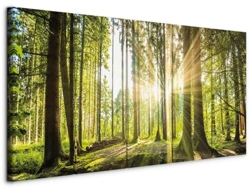 murando - Grand Tableau Mural Décoration Moderne Salon, Nature, 225x90 cm | Clous Inclus, Impression sur Toile, Tableaux, Posters et Arts Décoratifs, Jaune, Lueur Arbre Forêt Soleil Vert