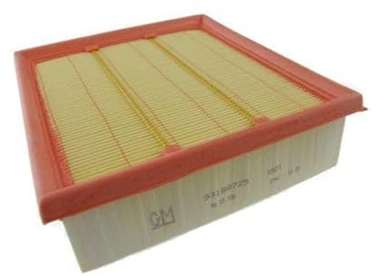 AUTOMEGA 180022110 Filtro aria motore rettangolare Cartuccia filtro con prefiltro