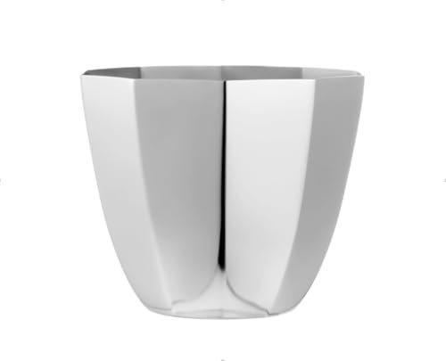 YcQuixoti Blumenkübel,Edelstahl Pflanztopf Anzuchttöpfe,für Innen und Balkon Sukkulenten Kaktus,Silber