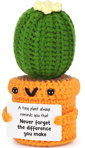 Agantree art Knitted Cactus Doll Retirement Gift for Women/Men - Funny Crochet Cactus. Ideal for Teacher Appreciation, Leaving, Farewell, Goodbye. Great for Employee, Coworker, Boss, Nurse.