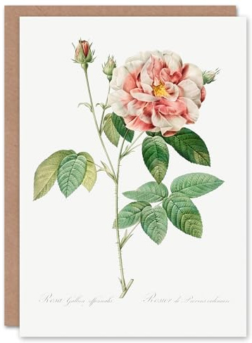 Artery8 Pierre-Joseph Redouté Art Card Rosa Gallica Giant Rose Vintage Floral
