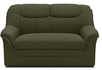 DOMO. collection Sofa Berlin, klassisches 2er Sofa, Polstergarnitur mit hochwertigem Federkern, 2 Sitzer 143 x 90 x 89 cm (BxTxH), grün
