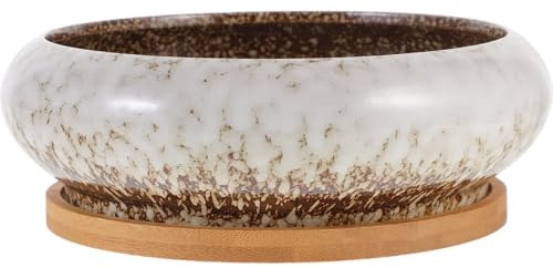 VANZACK 1satz Keramischer Sukkulenten Pflanzentopf Mit Untersetzer Kleiner Blumentopf Für Innen Und Außenbereich Für Sukkulenten Und Pflanzen Mit Drainageloch Dekorativ Und Praktisch