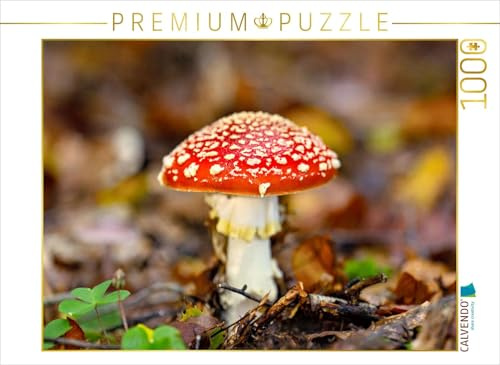 CALVENDO Puzzle Fliegenpilz | 1000 Teile Lege-Größe 64 x 48 cm Foto-Puzzle für glückliche Stunden