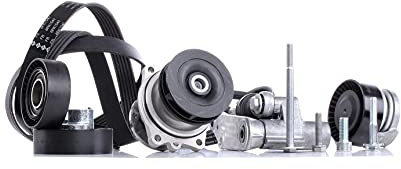 Ina 529 0053 30 - Water Pump + V-Ribbed Belt Set