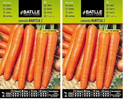 Semillas Batlle Carottes Carotte de Nantes 2 - Urgelba, Orange (Lot de 2)