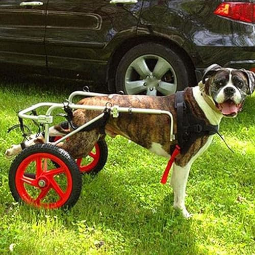 GJUOFFKO Rollstuhl für behinderte Haustiere, Kinderwagen für große Hunde, langlebiges und verschleißfestes Laufrad, leicht und tragbar (L, XL)