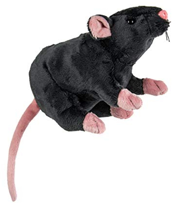 Horror-Shop Graue Plüsch Ratte 19cm als Kuscheltier, Deko oder Kostümzubehör