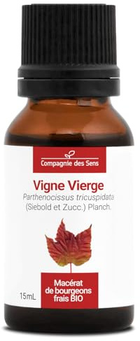 Vigne Vierge BIO - 15mL - (Parthenocissus Tricuspidata) – Macérat concentré de bourgeons frais