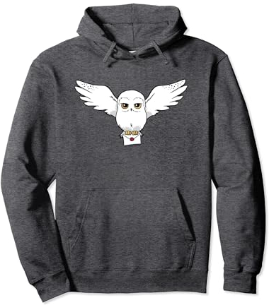 Harry Potter Hedwig Delivery Pullover Hoodie