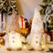 ACAREY Weihnachtsdeko 2 Stück Weihnachten Deko Wichtel mit LED Licht, Weihnachtsdeko Innen Wichtel Figuren Weihnachtsdeko Amerikanisch, Weihnachten Wichtel Set für Weihnachtsdeko Fenster