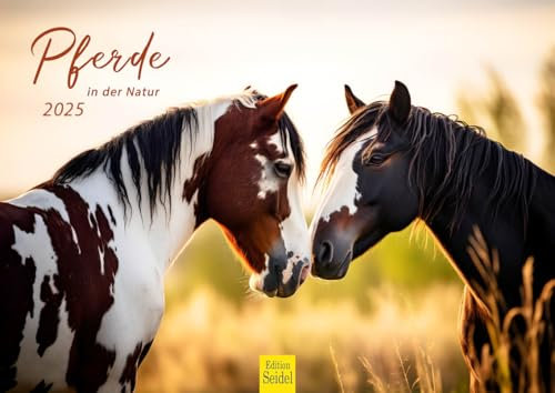 Edition Seidel Premium Kalender Pferde in der Natur 2025 Format DIN A4 Wandkalender Pferdekalender Pferd Tiere Fohlen Stute Hengst Pony