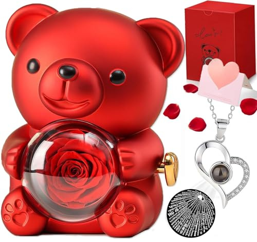 Romantic Teddy Bear with Preserved Rose, Flower Rose Teddy Hidden Jewelry Box with Heart-Shaped Necklace Red Gift Box and Postcard, Rose Valentine's Day Gift Box for Women on Anniversary (Red)