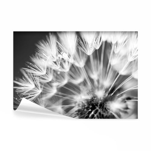 decomonkey Fototapete Pustelblume Natur, 300x210 cm, XXL, Blumen Abstrakt | Vlies, Schlafzimmer, Wohnzimmer, Design, Tapete, Fototapeten, Tapeten, Vliestapete, Wandtapete, moderne, Wand