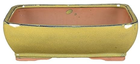 Pot rectangulaire en grès émaillé jaune moutarde pour bonsaï 27,5x23x8 cm - GA12