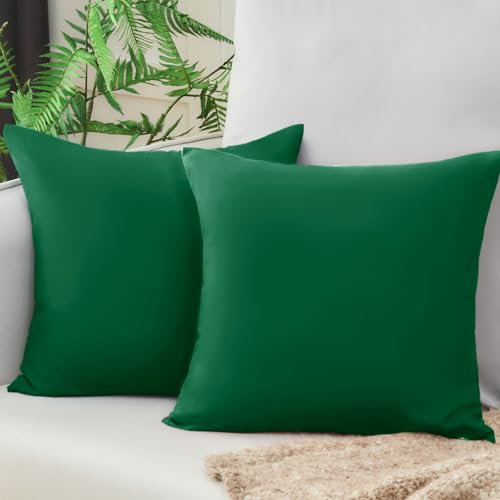 Vielit Sofa Kissenbezug 40x40 Grün Weich Kopfkissenbezug 40x40 2er Set Mikrofaser Kissenbezüge 40x40 Kissenhülle Für Kissen 40x40cm Öko-Zertifikat Resistent Hypoallergen