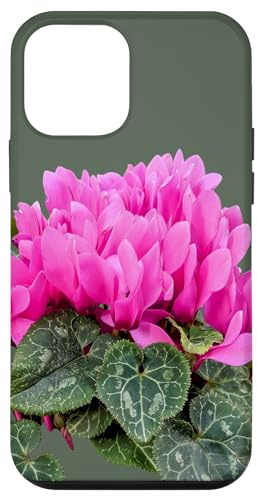 Coque pour iPhone 12 mini Magnifique rose magenta frais Cyclamen formes de fleurs mania