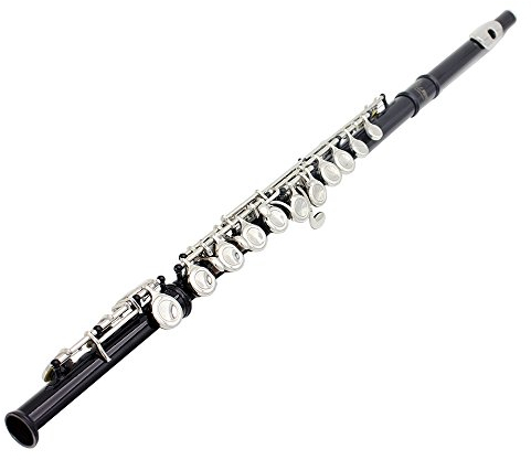 Btuty Flöten, C-Schlüssel, Western-Konzertflöte, 16 Löcher, Holzblasinstrument, mit Reinigungstuch, Stick, Handschuhen, Mini-Schraubendreher, gepolsterter Koffer