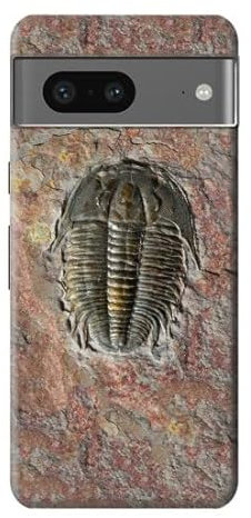 Trilobite - Cover per Google Pixel 7