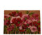 PARADISE STAR Coir Door Mat Welcome Modern Designs Mats Natural Coir Non-Slip Indoor Outdoor 40cm x 60cm (Poppy Flower)