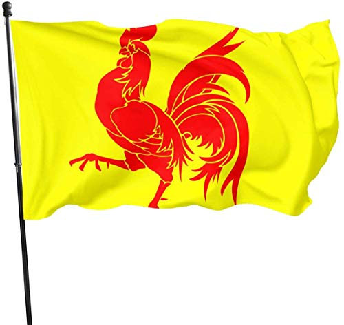 Drapeau de cour Bannière Coq Drapeau Wallonie Rouge Thème Animal Art Bienvenue Fête Extérieure Décorations Ornement Picks Maison Jardin Cour Décor 9,5 x 1,5 m