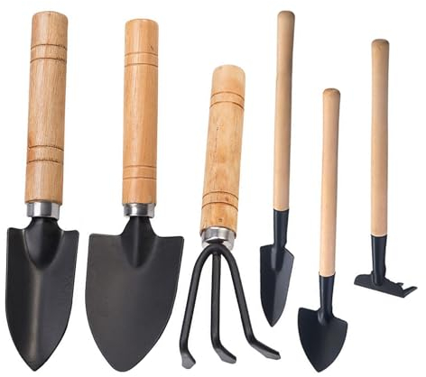 Confezione da 6 mini attrezzi da giardino, mini pala, rastrello da giardino, paletta per vasi, strumenti anti ruggine e antimacchia per piante in vaso, piante fiorite, piante grasse