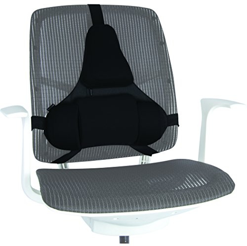 Fellowes Professional Series Profi Rückenstütze mit Memory Foam, schwarz