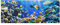 Top Tiere Glasbilder Wandbild Foto Kunstdruck 30 x 80 cm, Underwater Reef