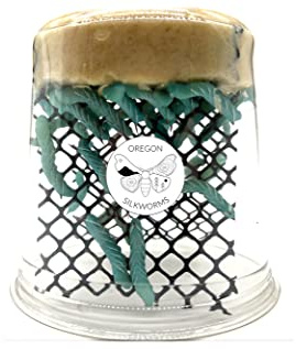 Oregon Silkworms Premium Hornworm Habitat - 26-35+ Count per Cup | Nutrient-Rich Feed for Bearded Dragons, Geckos & Other Reptiles | Ensured Healthy Arrival