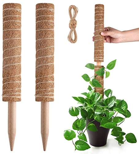 Pisol Palo di muschio, Supporto per bastoncini estensibili, Pali per piante in vaso da interni, Traliccio per piante in fibra di cocco da 40 cm per piante Monstera, Pothos e altre piante rampicanti