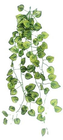 Piante artificiali per terrari - Vegetazione decorativa finta, acquario per pesci | Piante realistiche non tossiche Design naturale del terrario, piante tropicali Viti Decorazioni per habitat Bassa ma