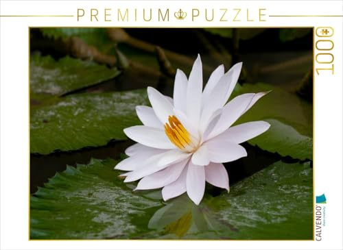 CALVENDO Puzzle Mai | 1000 Teile Lege-Größe 64 x 48 cm Foto-Puzzle für glückliche Stunden