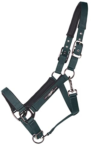 ARBO-INOX Halfter unterlegt 3-Fach verstellbar mit schwarzen Beschlägen (COB VOLLBLUT, DUNKELGRÜN)