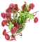 HAMPPLIES Plante Aquatique Artificielle pour Aquarium Vert Ornement de Lotus pour Eau Douce et Décoration Réaliste et pour Poissons