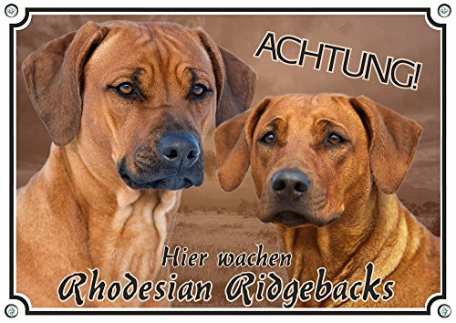 Petsigns Rhodesian Ridgeback - Hundeschild - Warnschild - massives Metallschild, DIN A5