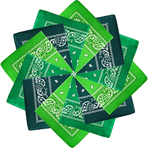 Blulu 12 Stücke Paisley Bandanas Cowboy Bandanas Unisex Druck Kopf Wickel Schal Armband (Sortiert Grün)