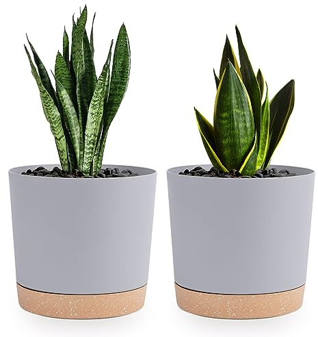 QCQHDU Lot de 2 Pots de Plantes 16.5cm, Pots pour Plantes d'intérieur avec Trous de Drainage et Base Amovible, Soucoupe décorative Moderne pour jardinières d'extérieur (Gris Clair 16.5cm)