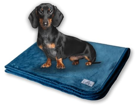 Giesty Hundedecke, Haustier Decken kuschelweich, Decken für Hunde Wasserdicht, maschinenwaschbar, beidseitiger Sofabezug-Schutz (Blau, M (60x74cm))