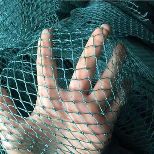 Filet Anti Oiseaux Fraisier Filet Jardin Potager Grimpant Filet de Pot de Fleur pour Plantes Fruits et Bassin,6x10m