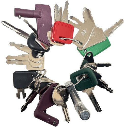 25 Ignition Starter Plant Key Set, Universal Plant Dumper Machine Replacement Ignition Switches Keys for Machinery Plants, Agricultural, Excavator,Trucks, Graders, Dozers, Backhoes.