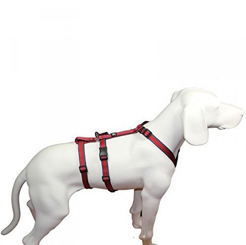 Hoffmann No Exit ausbruchsicheres Hundegeschirr für Angsthund, Sicherheitsgeschirr für Pflegehund, Panikgeschirr, rot Muster, Bauchumfang 55-75 cm, 20 mm Bandbreite