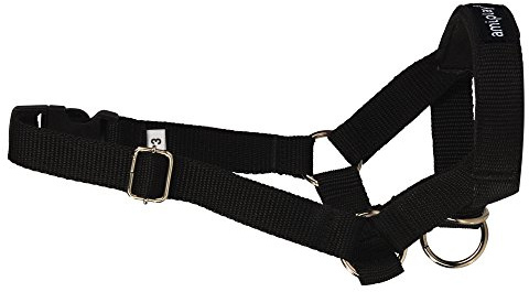 amiplay Hunde-Maulgeschirr 'Basic' | Hundemaulkorb | Erziehungsgeschirr | Maulkorb | Maulband Größen, Farbe:Schwarz, Größe:L | 20-37 [a] x 45-60 [b] x 2 cm