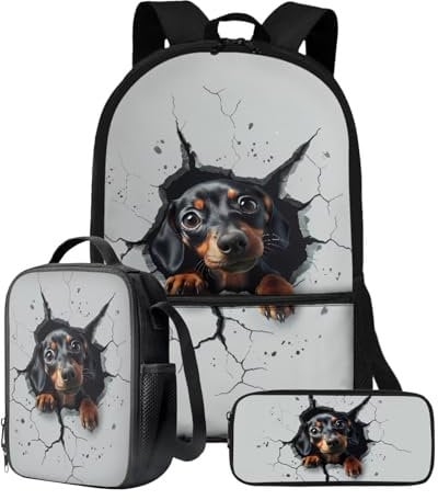 Xoenoiee Schulrucksack-Set, 43,2 cm, 3-teiliges Set für Jungen und Mädchen, mit Lunchtasche und Federmäppchen, große Schultasche für Teenager, Studenten, Dackel Hund Broken Wall