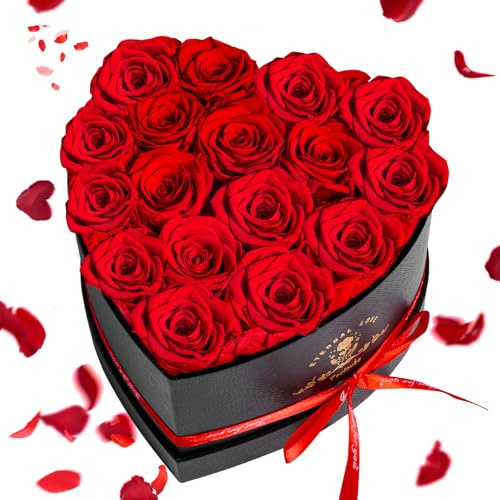 Touloube 17 Infinity Rosen Geschenk für Frauen, Ewige Rot Rose Geschenke, Konservierte Rose in Herzbox für Mama Freundin zum Geburtstag Jahrestag Valentinstag Muttertag Hochzeitstag Rosenbox